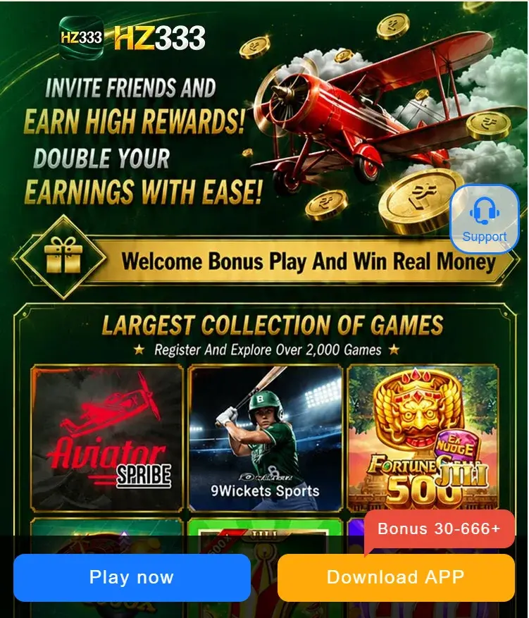 HZ333 Game