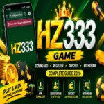 HZ333-Game