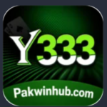 Y333-Game